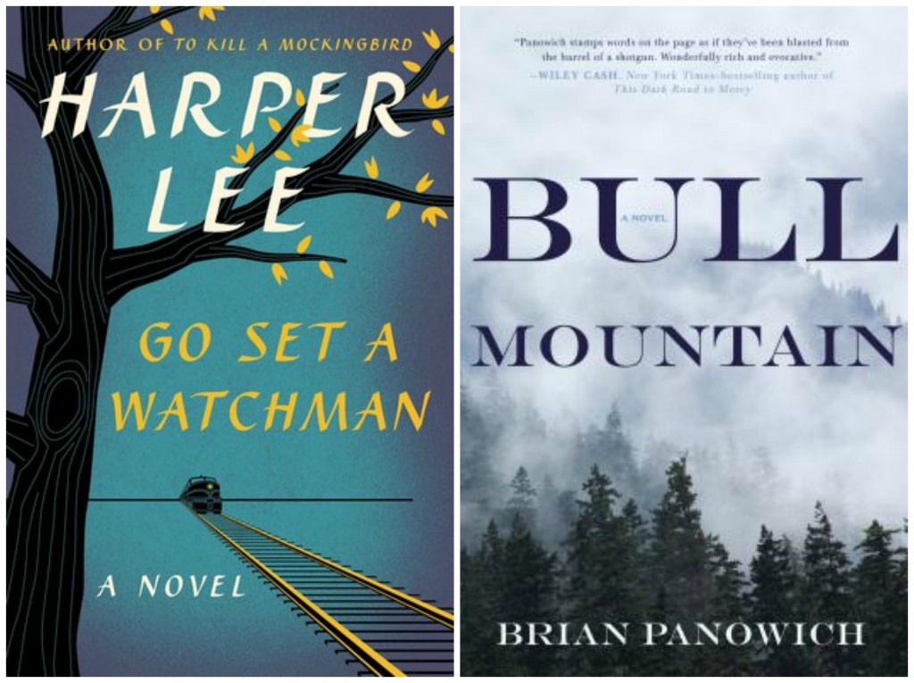 Go Set A Watchman, Harper Lee, Bull Mountain