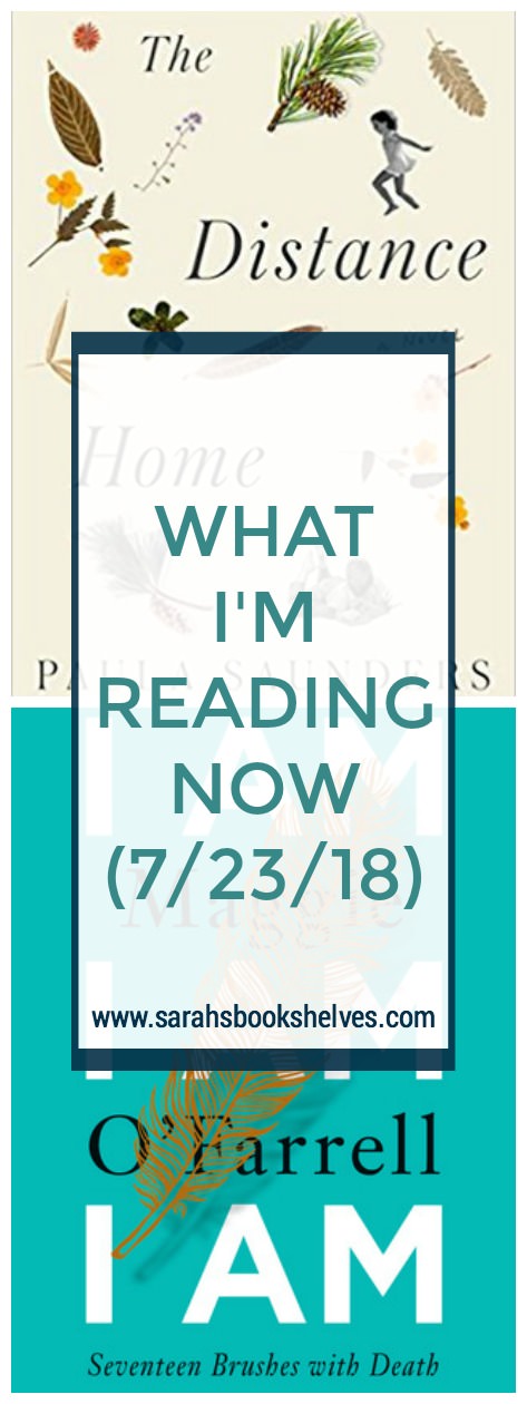 What I'm Reading Now (7/23/18): I got started on August books, which are a bit more literary than the summer reading I've been doing for the past couple weeks. I'm also reading a memoir that I predict will be 5 stars for me! #reading #books #bookish #bookworm #booklover #bookstagram