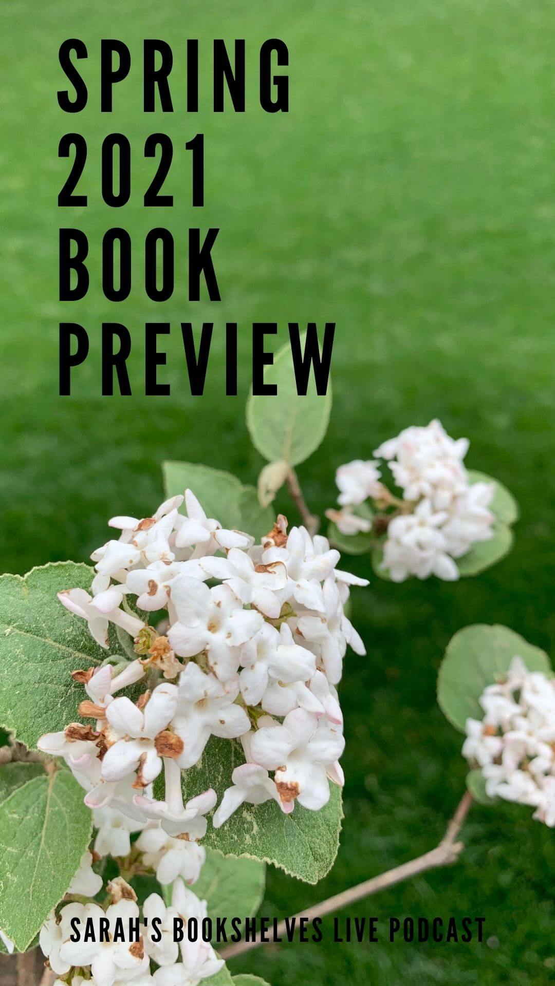 Spring 2021 Book Preview